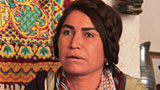 Hükümet Kadin