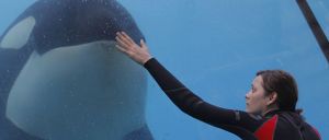 Der Geschmack von Rost und Knochen