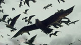 Leviathan