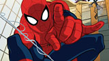 Der ultimative Spider-Man Vol.1 & 2