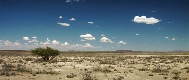 Orania