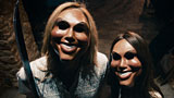 The Purge