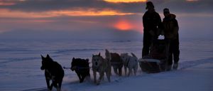 Die Familie mit den Schlittenhunden