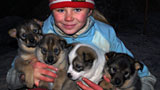 Die Familie mit den Schlittenhunden