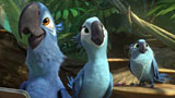 Rio 2 - Dschungelfieber