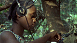 Concerning Violence