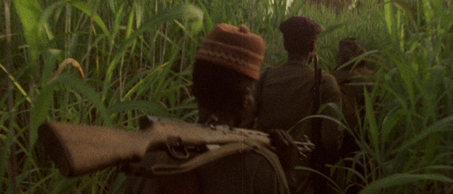 Concerning Violence