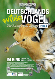 Deutschlands wilde Vögel - Teil 2