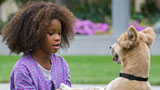 Annie