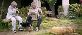 Pepe Mujica - Der Präsident