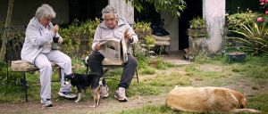 Pepe Mujica - Der Präsident