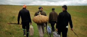 Der Wald ist wie die Berge