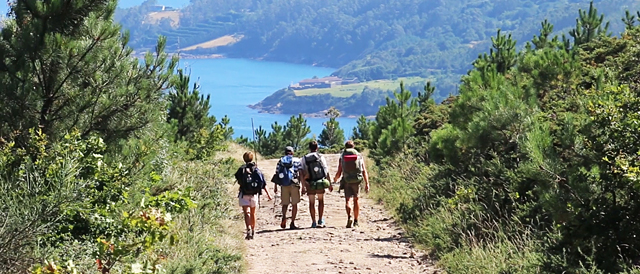 Camino de Santiago