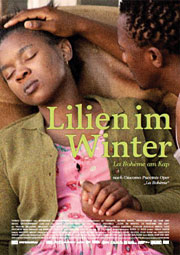 Lilien im Winter - La Bohème am Kap