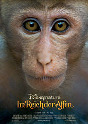 Im Reich der Affen