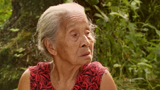 The Look of Silence