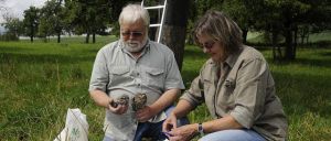 Birds & People - Ganz verrückt auf Vögel