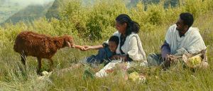 Ephraim und das Lamm