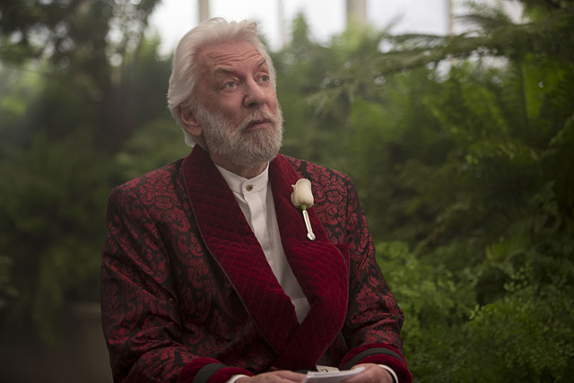 Mockingjay Teil 2