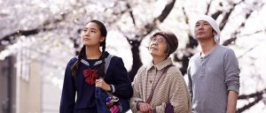 Kirschblüten und rote Bohnen