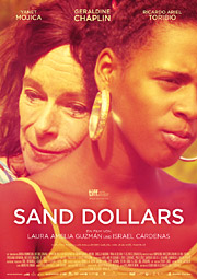 Sand Dollars