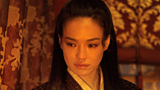 The Assassin