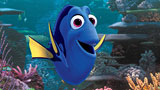 Findet Dorie