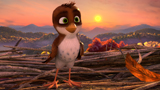 Überflieger - Kleine Vögel, großes Geklapper