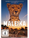 Maleika