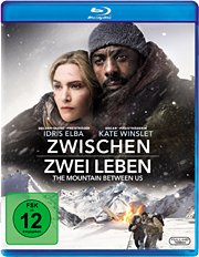 Zwischen zwei Leben - The Mountain between us