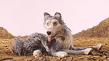 Isle Of Dogs - Ataris Reise
