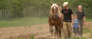 Worauf warten wir noch?