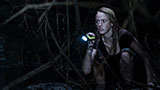Crawl