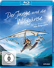 Der junge und die Wildgänse Plakat