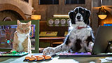 Cats & Dogs 3