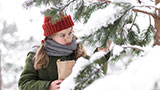Weihnachten im Zaubereulenwald