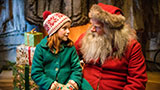 Elise und das vergessene Weihnachtsfest